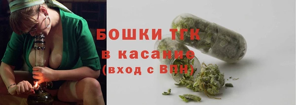 МДПВ Елабуга