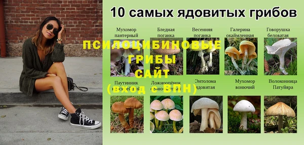 дурь Александровское