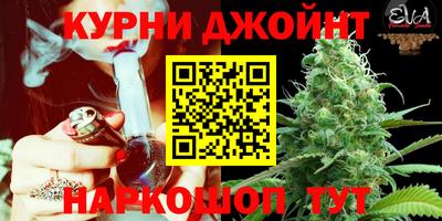 СК Коммунар