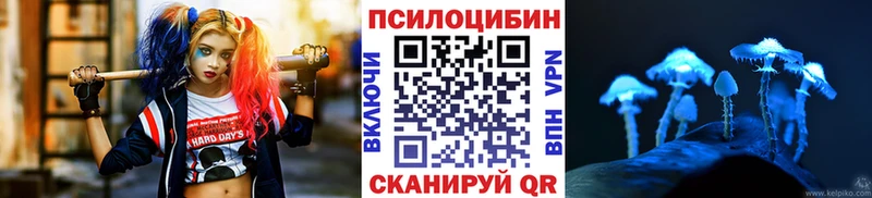 Галлюциногенные грибы Cubensis  сайты даркнета наркотические препараты  Сланцы  блэк спрут сайт 