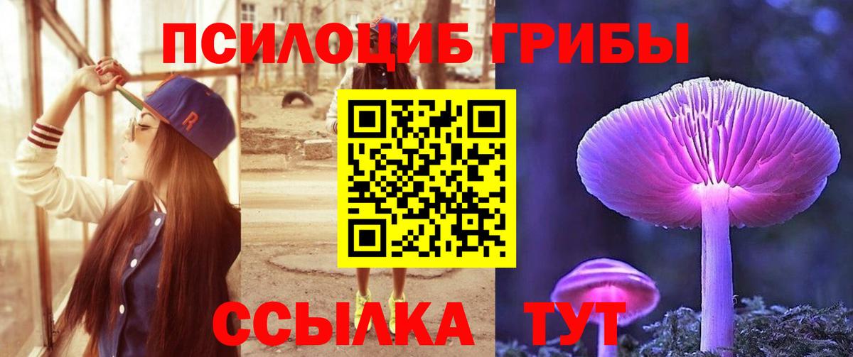 Сланцы  Галлюциногенные грибы Psilocybe  Вход с VPN 